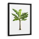Plátano 1 - Fab Funky | Cuadro decorativo de Canvas Lab