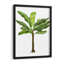Plátano 1 - Fab Funky | Cuadro decorativo de Canvas Lab
