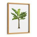 Plátano 1 - Fab Funky | Cuadro decorativo de Canvas Lab