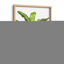 Plátano 1 - Fab Funky | Cuadro decorativo de Canvas Lab