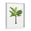 Plátano 1 - Fab Funky | Cuadro decorativo de Canvas Lab