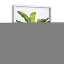 Plátano 1 - Fab Funky | Cuadro decorativo de Canvas Lab