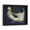Paloma De Mariposa - Fab Funky | Cuadro decorativo de Canvas Lab