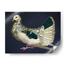 Paloma De Mariposa - Fab Funky | Cuadro decorativo de Canvas Lab