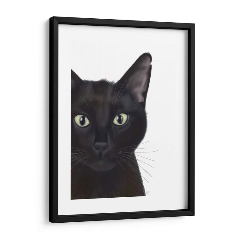 Gato, Retrato De Gus - Fab Funky | Cuadro decorativo de Canvas Lab