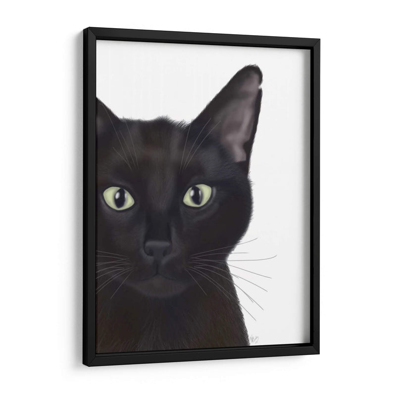 Gato, Retrato De Gus - Fab Funky | Cuadro decorativo de Canvas Lab