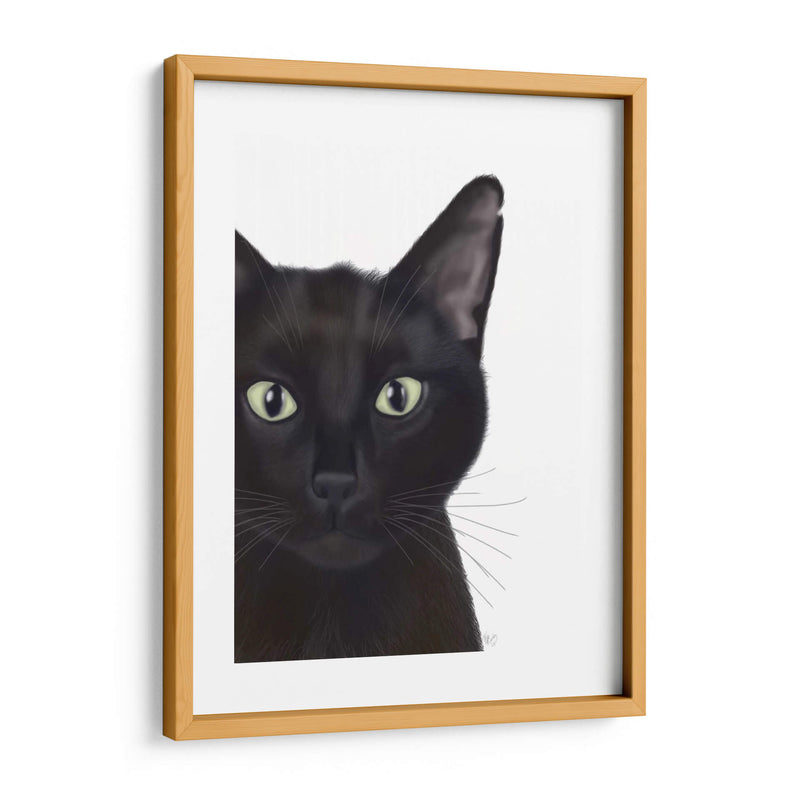 Gato, Retrato De Gus - Fab Funky | Cuadro decorativo de Canvas Lab