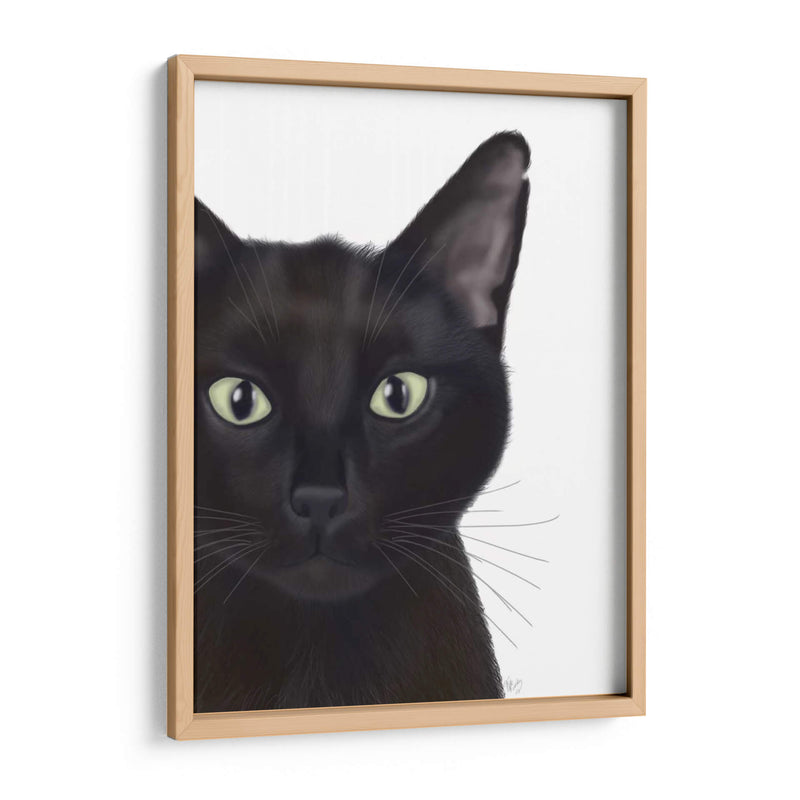 Gato, Retrato De Gus - Fab Funky | Cuadro decorativo de Canvas Lab