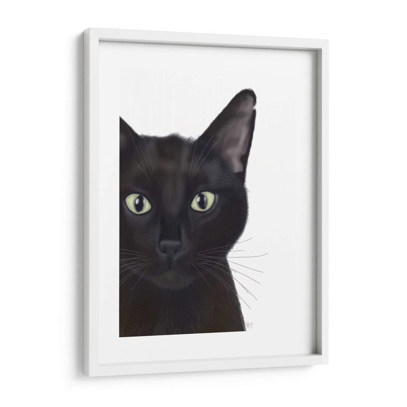 Gato, Retrato De Gus - Fab Funky | Cuadro decorativo de Canvas Lab