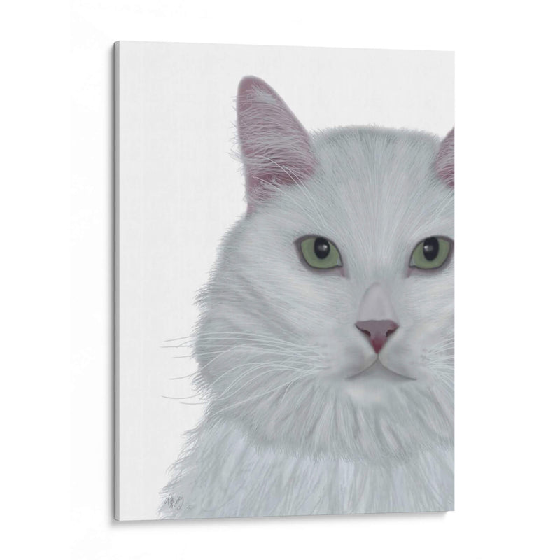 Gato, Retrato Blanco En Blanco - Fab Funky | Cuadro decorativo de Canvas Lab