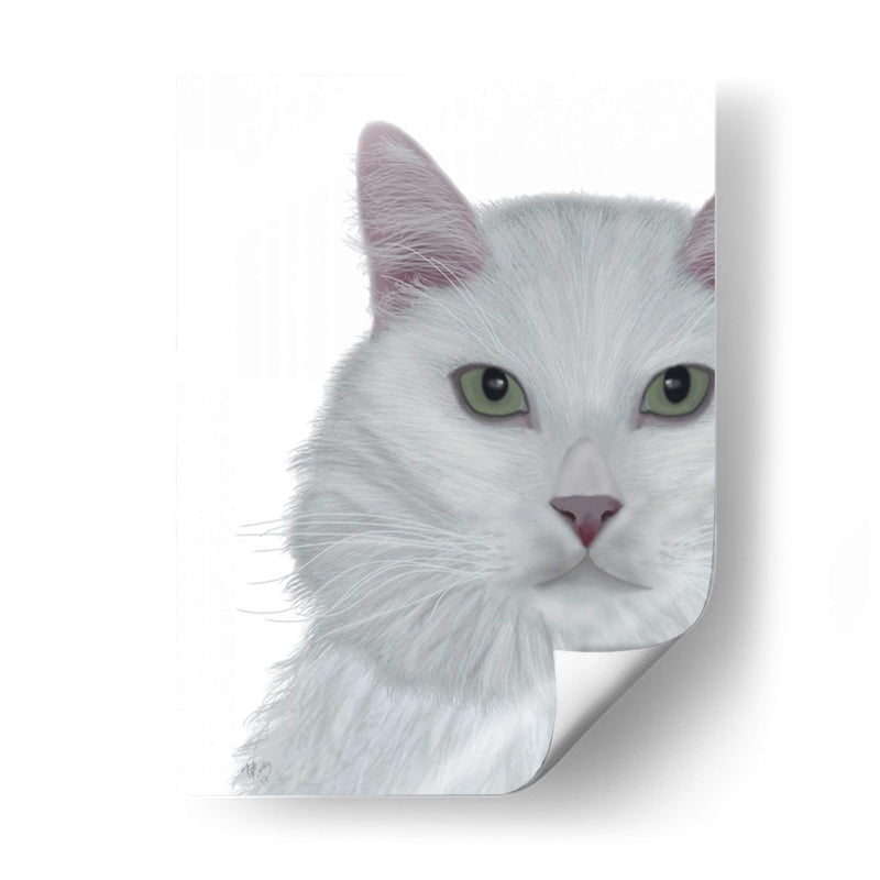 Gato, Retrato Blanco En Blanco - Fab Funky | Cuadro decorativo de Canvas Lab