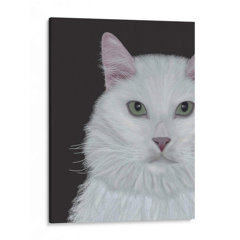 Gato, Retrato Blanco En Gris Oscuro - Fab Funky | Cuadro decorativo de Canvas Lab