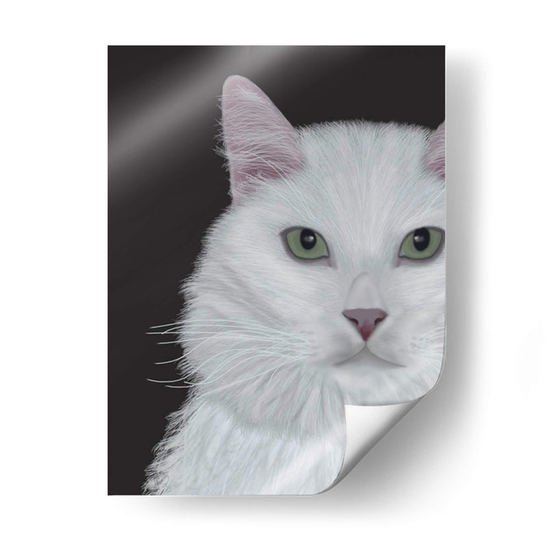 Gato, Retrato Blanco En Gris Oscuro - Fab Funky | Cuadro decorativo de Canvas Lab