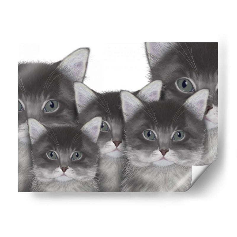 Familia Gato - Fab Funky | Cuadro decorativo de Canvas Lab