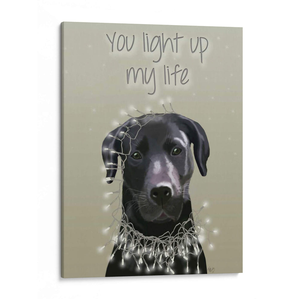 Labrador Negro, Te Iluminas - Fab Funky | Cuadro decorativo de Canvas Lab
