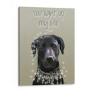 Labrador Negro, Te Iluminas - Fab Funky | Cuadro decorativo de Canvas Lab