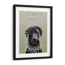 Labrador Negro, Te Iluminas - Fab Funky | Cuadro decorativo de Canvas Lab