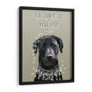 Labrador Negro, Te Iluminas - Fab Funky | Cuadro decorativo de Canvas Lab