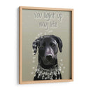 Labrador Negro, Te Iluminas - Fab Funky | Cuadro decorativo de Canvas Lab