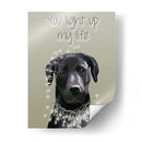 Labrador Negro, Te Iluminas - Fab Funky | Cuadro decorativo de Canvas Lab