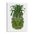 Piña, Palmas Tropicales, Verde. - Fab Funky | Cuadro decorativo de Canvas Lab