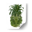Piña, Palmas Tropicales, Verde. - Fab Funky | Cuadro decorativo de Canvas Lab