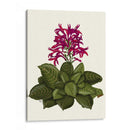 Flor Tropical 1 - Fab Funky | Cuadro decorativo de Canvas Lab