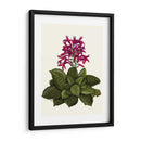 Flor Tropical 1 - Fab Funky | Cuadro decorativo de Canvas Lab