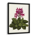 Flor Tropical 1 - Fab Funky | Cuadro decorativo de Canvas Lab