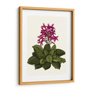 Flor Tropical 1 - Fab Funky | Cuadro decorativo de Canvas Lab