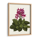 Flor Tropical 1 - Fab Funky | Cuadro decorativo de Canvas Lab