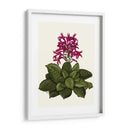 Flor Tropical 1 - Fab Funky | Cuadro decorativo de Canvas Lab
