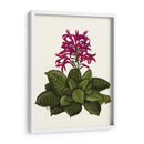 Flor Tropical 1 - Fab Funky | Cuadro decorativo de Canvas Lab