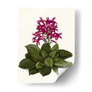 Flor Tropical 1 - Fab Funky | Cuadro decorativo de Canvas Lab