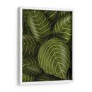 Aphelandri Leopoldi - Fab Funky | Cuadro decorativo de Canvas Lab