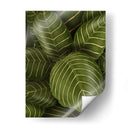 Aphelandri Leopoldi - Fab Funky | Cuadro decorativo de Canvas Lab