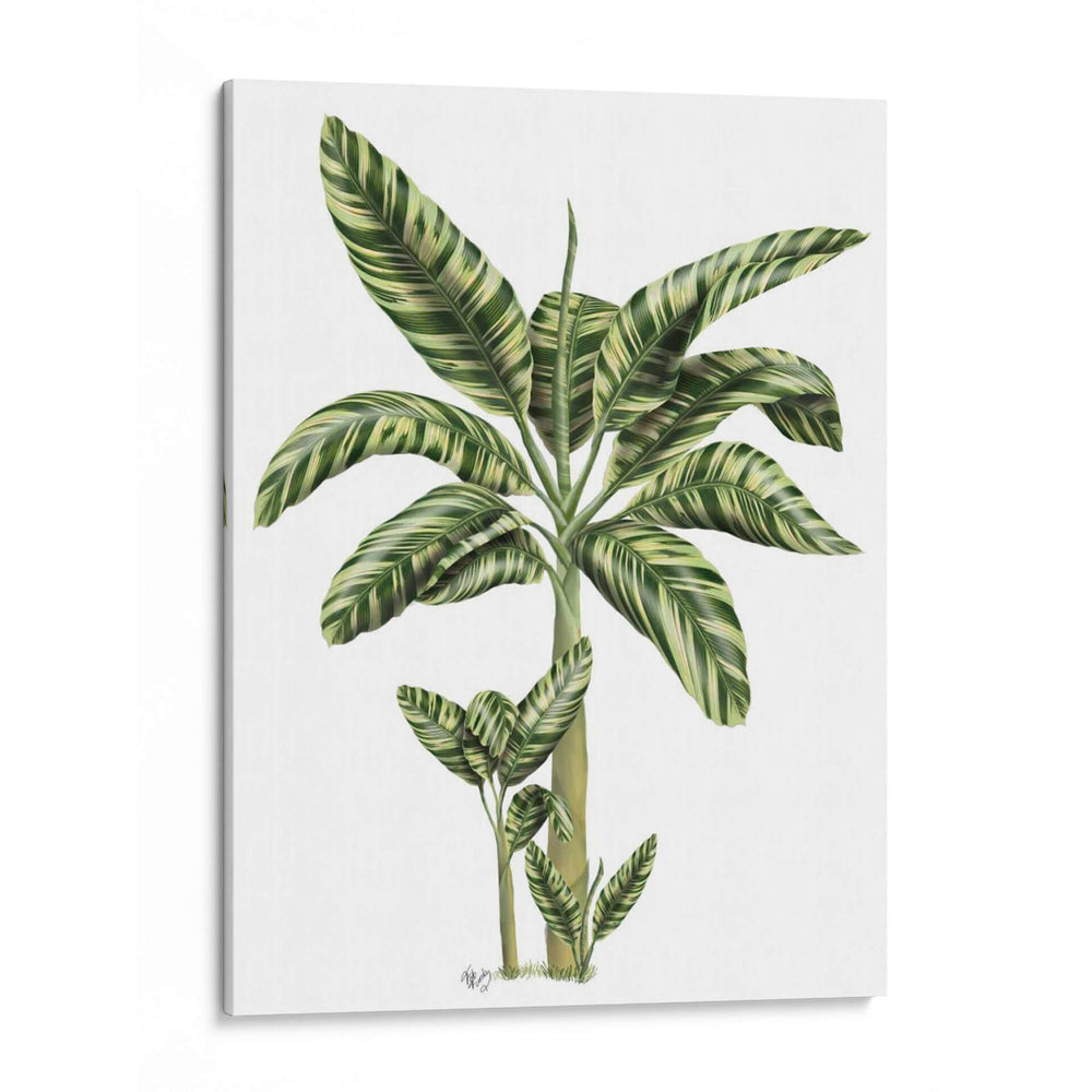 Banana Tree 2 - Fab Funky | Cuadro decorativo de Canvas Lab