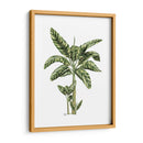 Banana Tree 2 - Fab Funky | Cuadro decorativo de Canvas Lab
