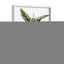 Banana Tree 2 - Fab Funky | Cuadro decorativo de Canvas Lab
