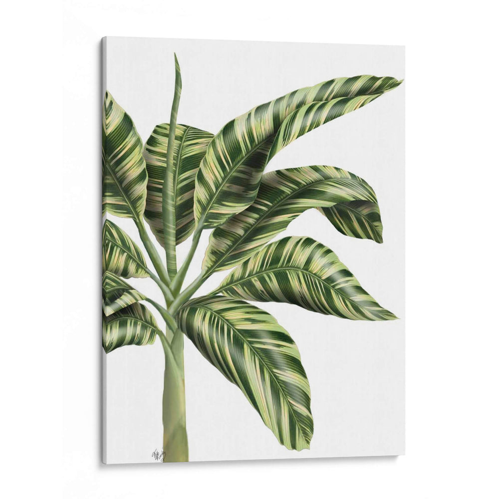 Plátano 3, Verde - Fab Funky | Cuadro decorativo de Canvas Lab