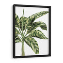 Plátano 3, Verde - Fab Funky | Cuadro decorativo de Canvas Lab