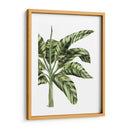 Plátano 3, Verde - Fab Funky | Cuadro decorativo de Canvas Lab