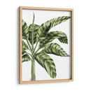 Plátano 3, Verde - Fab Funky | Cuadro decorativo de Canvas Lab