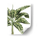 Plátano 3, Verde - Fab Funky | Cuadro decorativo de Canvas Lab