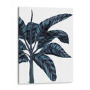 Banana Tree 3, Azul - Fab Funky | Cuadro decorativo de Canvas Lab