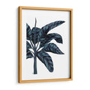 Banana Tree 3, Azul - Fab Funky | Cuadro decorativo de Canvas Lab