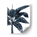 Banana Tree 3, Azul - Fab Funky | Cuadro decorativo de Canvas Lab