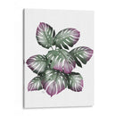 Planta De Monstera, Rosa Y Verde. - Fab Funky | Cuadro decorativo de Canvas Lab