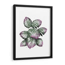 Planta De Monstera, Rosa Y Verde. - Fab Funky | Cuadro decorativo de Canvas Lab