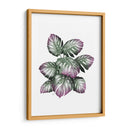 Planta De Monstera, Rosa Y Verde. - Fab Funky | Cuadro decorativo de Canvas Lab